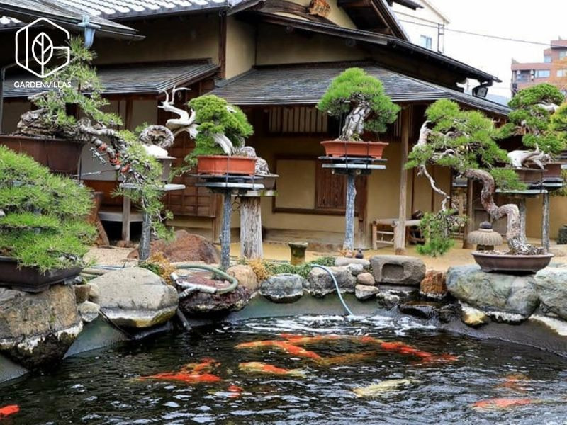 thiết kế nhà vườn có ao cá