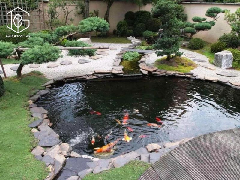 thiết kế nhà vườn có ao cá