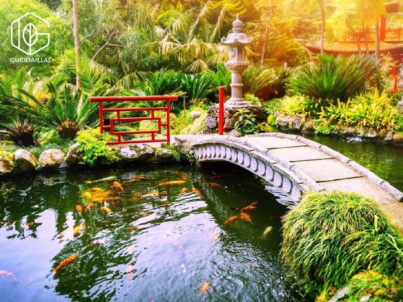 thiết kế nhà vườn có ao cá