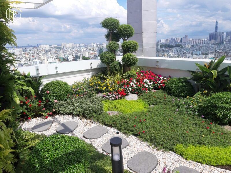 thiết kế cảnh quan