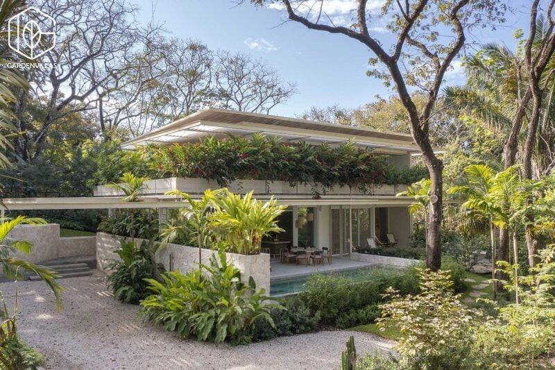 thiết kế khuôn viên nhà vườn