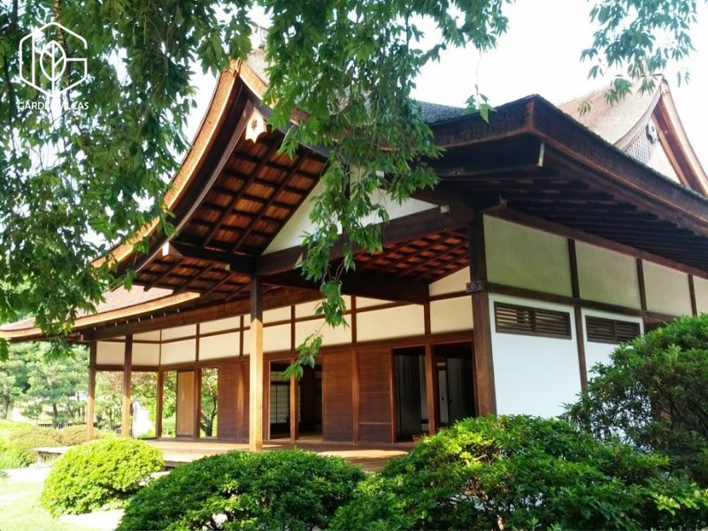 thiết kế nhà vườn 8x20