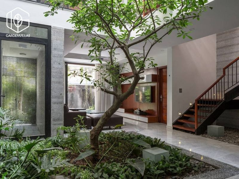 thiết kế nhà vườn 8x20