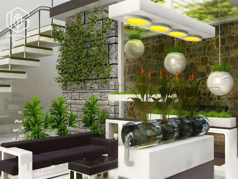 thiết kế nhà vườn 8x20