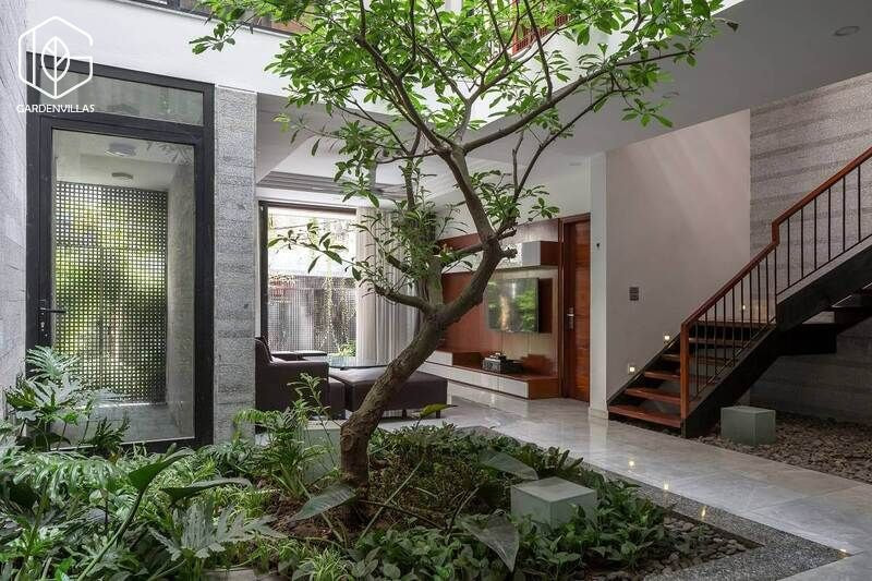 thiết kế nhà có sân vườn ở giữa