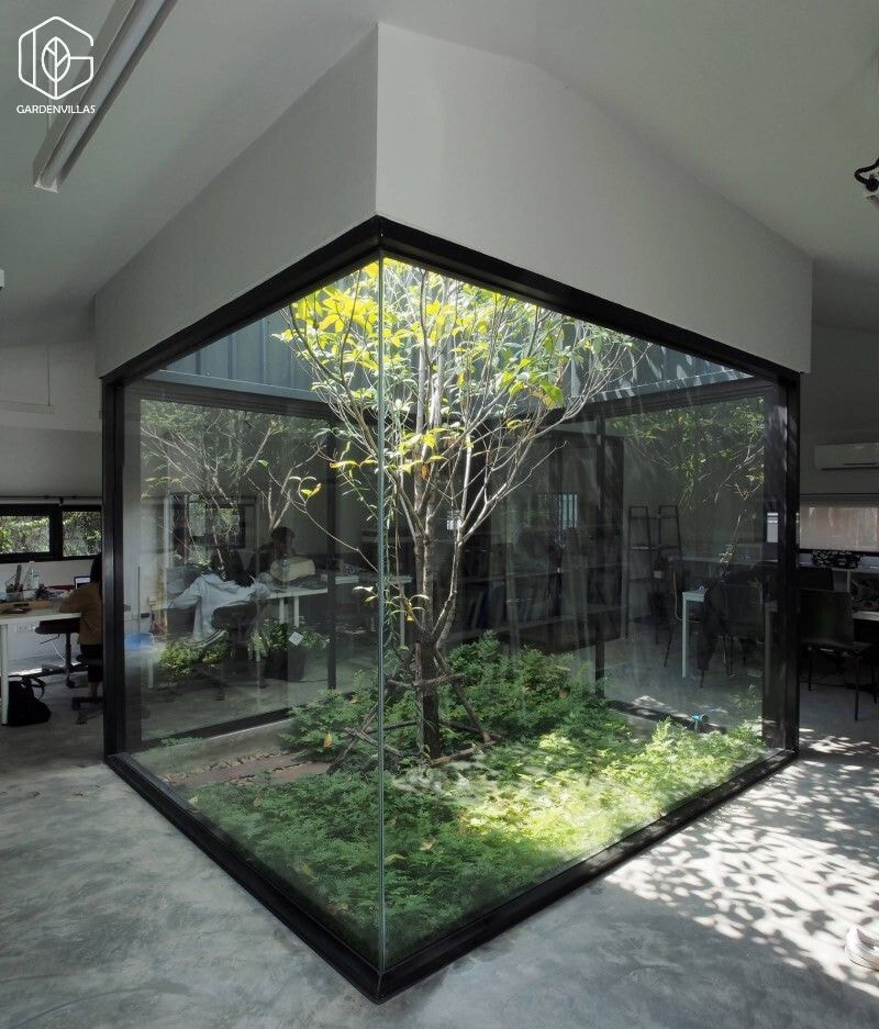 thiết kế nhà có sân vườn ở giữa