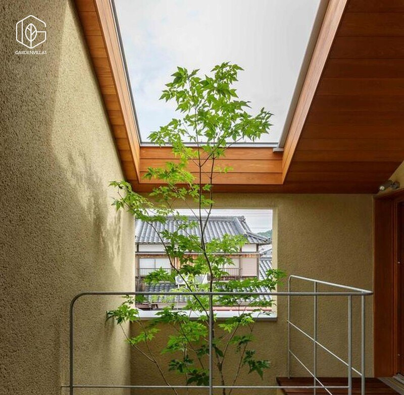 thiết kế nhà có sân vườn ở giữa