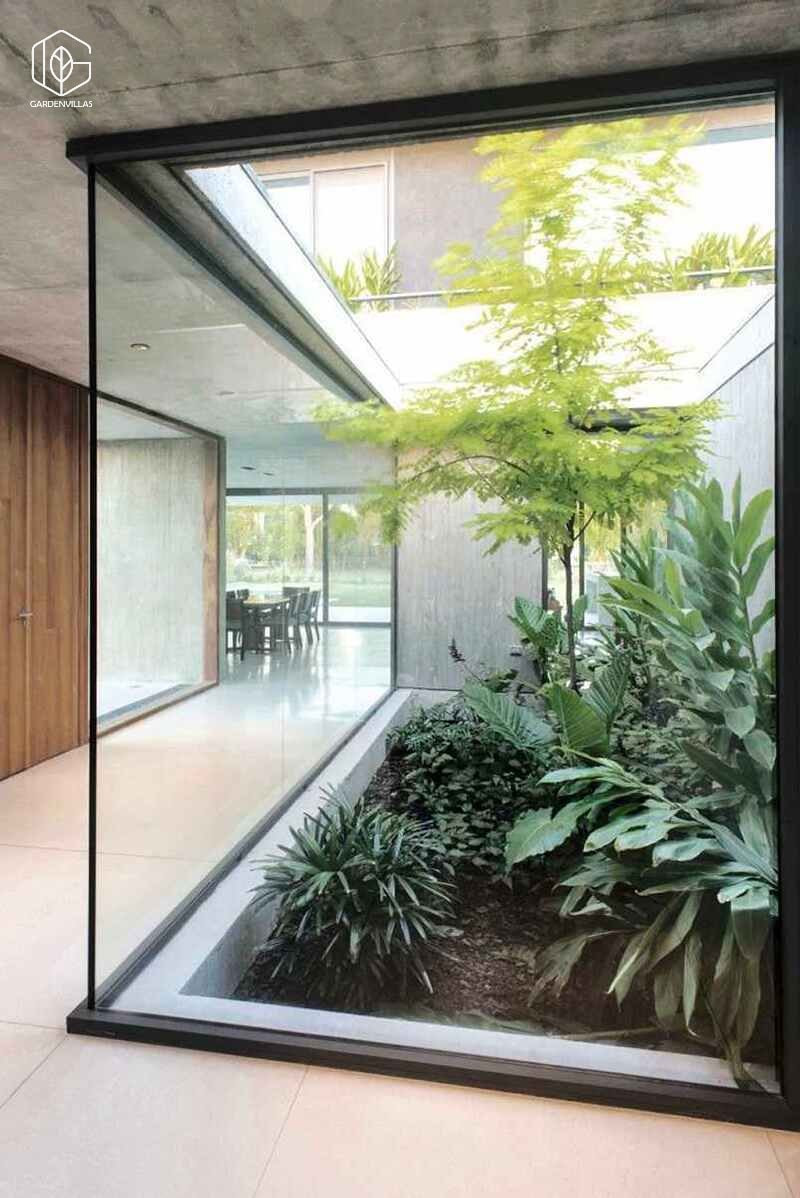 thiết kế nhà có sân vườn ở giữa